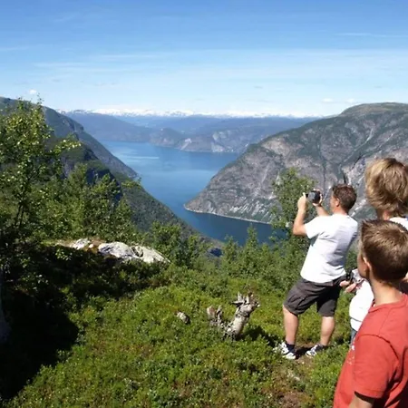 Semesterbostad 5 Person In Laerdal *
